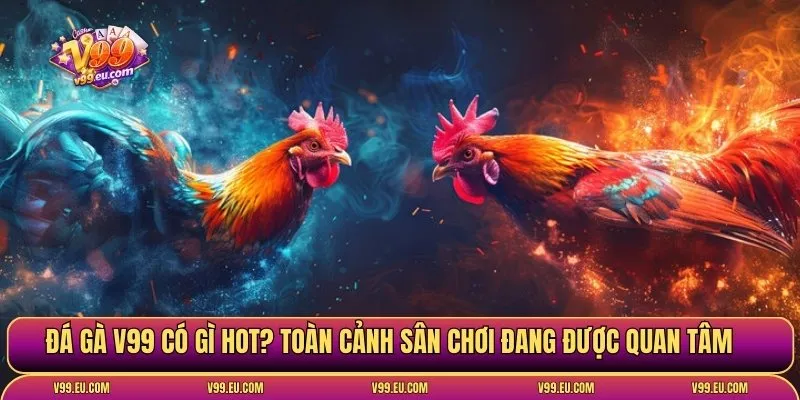 Đá gà V99 | Toàn diện sân chơi chọi kê hot nhất hiện nay - Va77